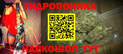 экстази Можга