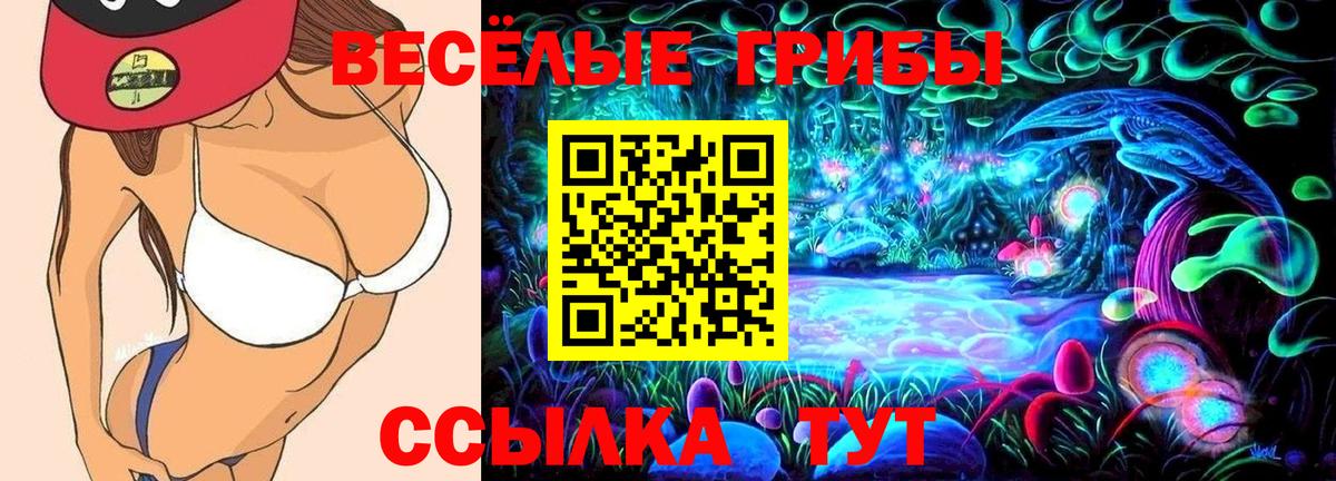 Галлюциногенные грибы Psilocybe Воронеж